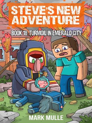 cover image of Steve's New Adventure Book 18